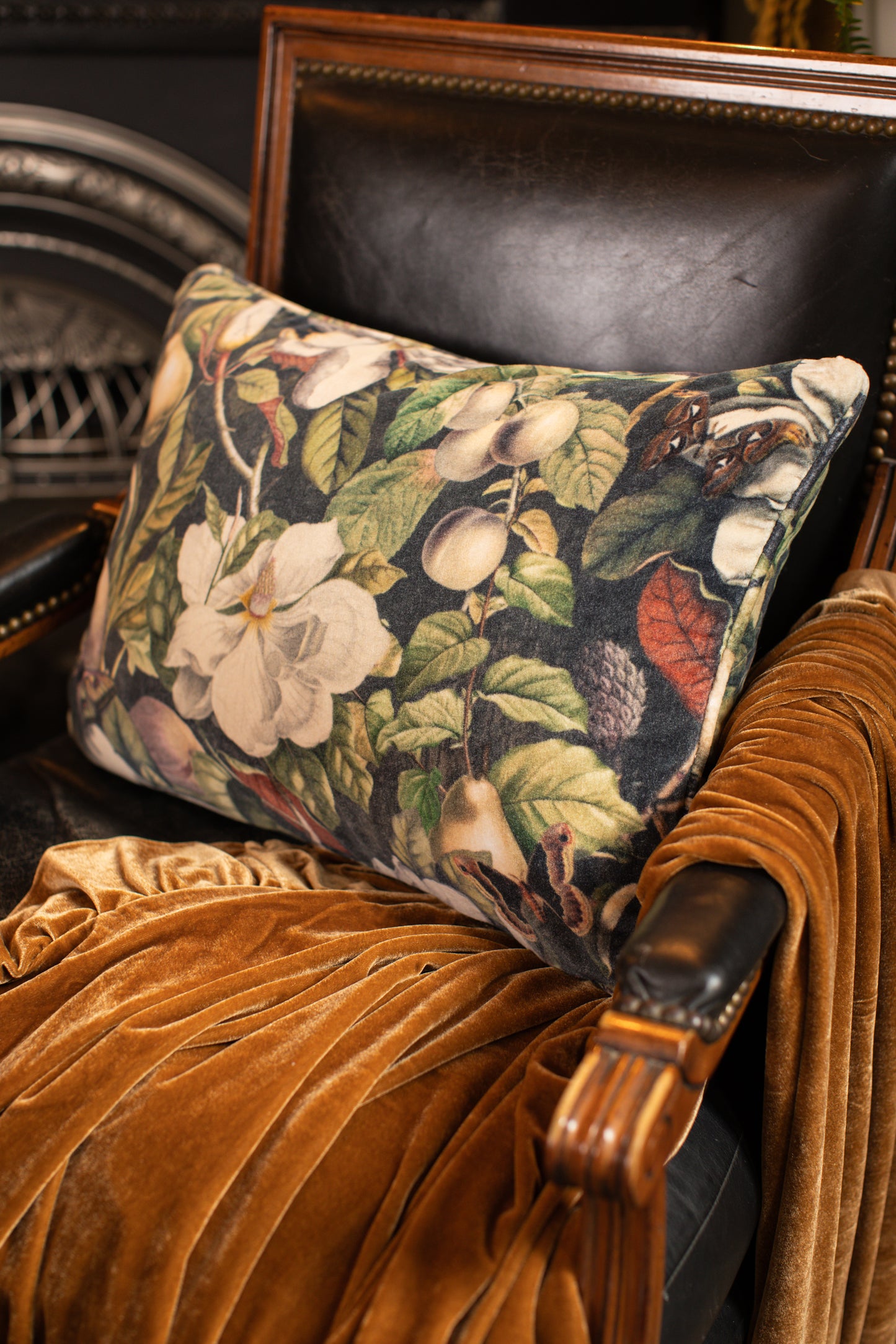 A soft cotton velvet cushion ft. vintage lithographs of magnolias & 1800's etchings of moths and pears - Market of Stars