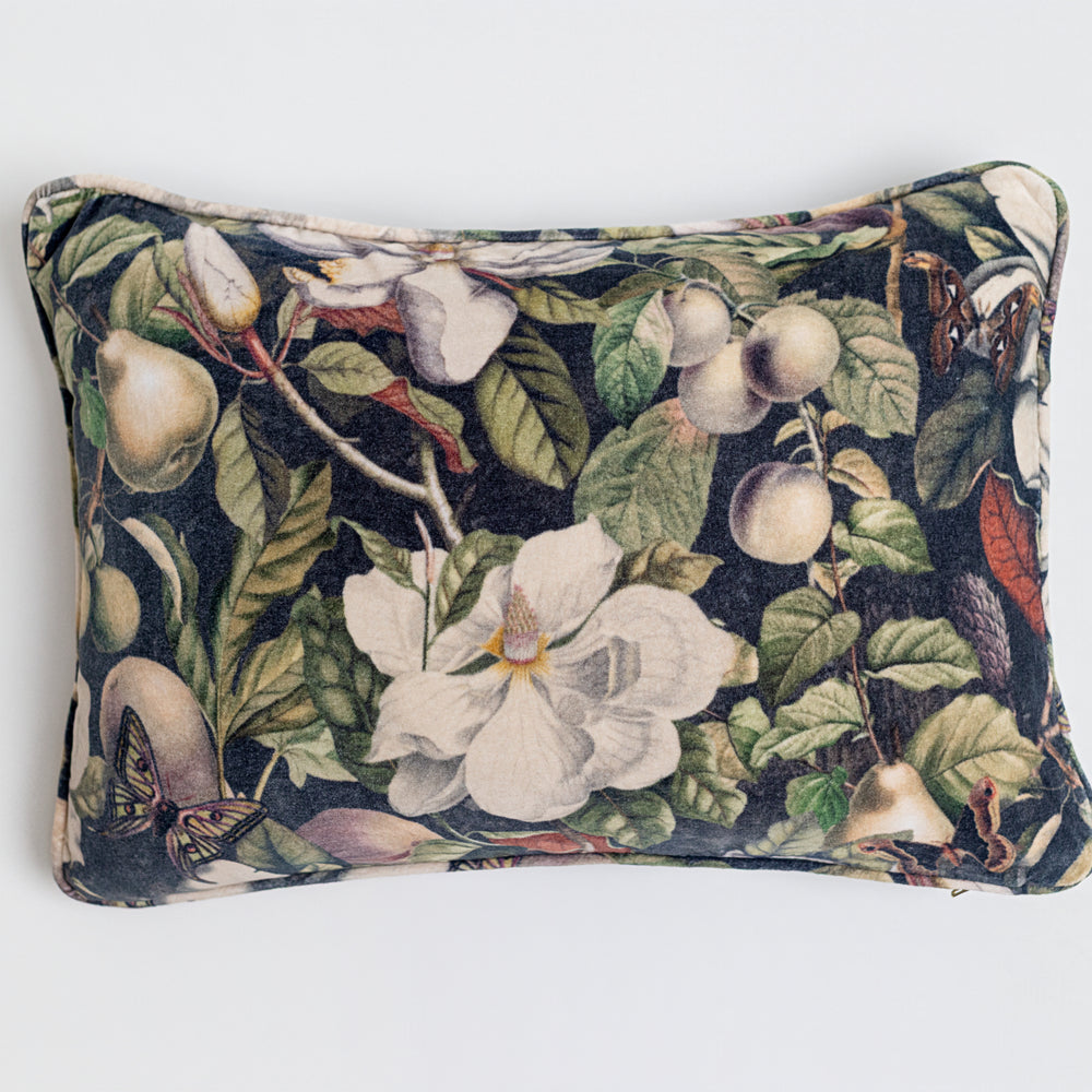 A soft cotton velvet cushion ft. vintage lithographs of magnolias & 1800's etchings of moths and pears - Market of Stars