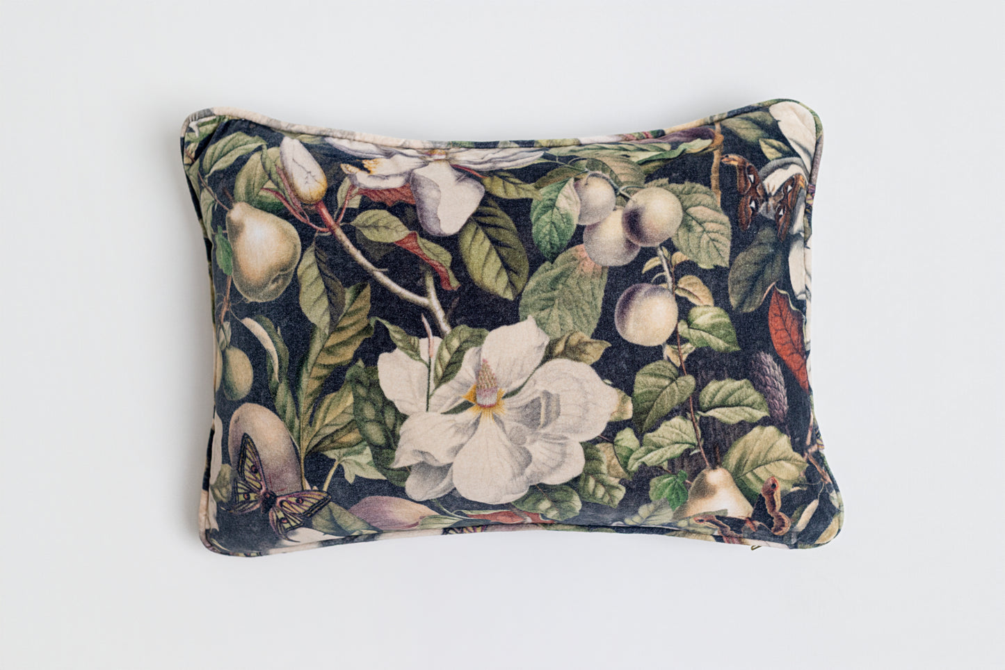 A soft cotton velvet cushion ft. vintage lithographs of magnolias & 1800's etchings of moths and pears - Market of Stars