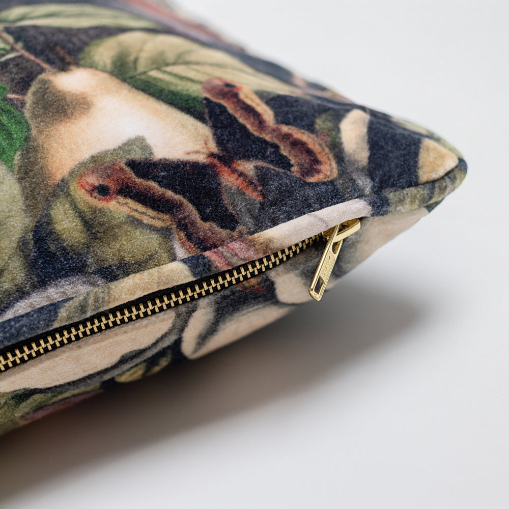 
                  
                    A soft cotton velvet cushion ft. vintage lithographs of magnolias & 1800's etchings of moths and pears - Market of Stars
                  
                